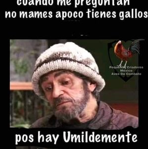 Meet your Posher, Jesus